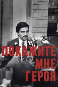 Покажите мне героя (2015 )